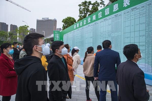 ILO: Khoảng 1,6 tỷ lao động không chính thức đứng trước nguy cơ mất việc