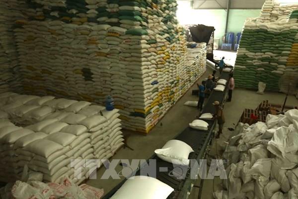 Gạo Việt Nam tăng giá, giá gạo Thái Lan giảm tuần thứ 7 liên tiếp