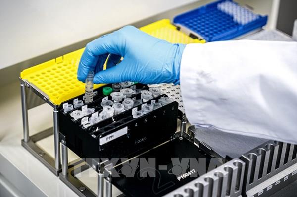 Nhật Bản sản xuất thành công kháng thể nhân tạo chống SARS-CoV-2