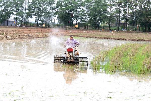 Nhiều diện tích canh tác có nguy cơ thiếu nước trong vụ Hè Thu, Mùa