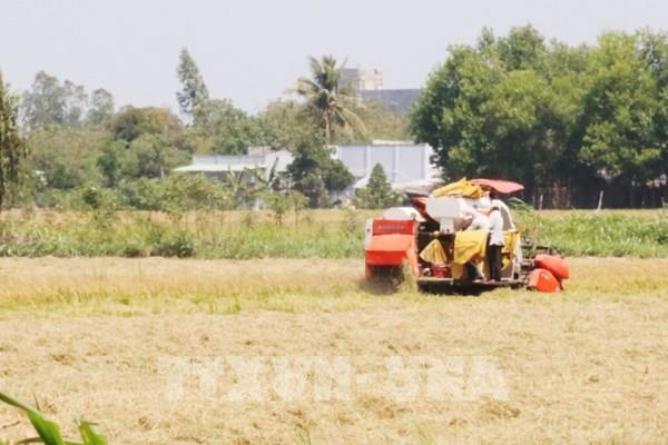 Năm 2030 nông nghiệp Việt Nam hướng tới mục tiêu vào tốp 15 nước phát triển nhất thế giới