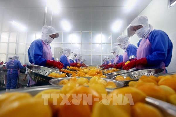 15 năm gia nhập WTO - Việt Nam khẳng định vị thế trên đại lộ hội nhập