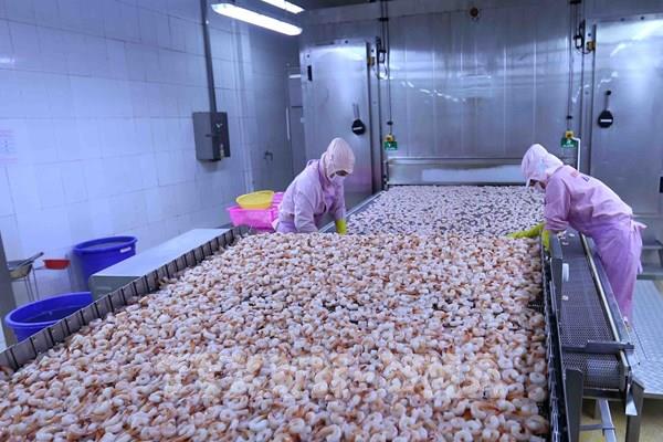 Đâu là động lực tăng trưởng kinh tế cho năm 2021?