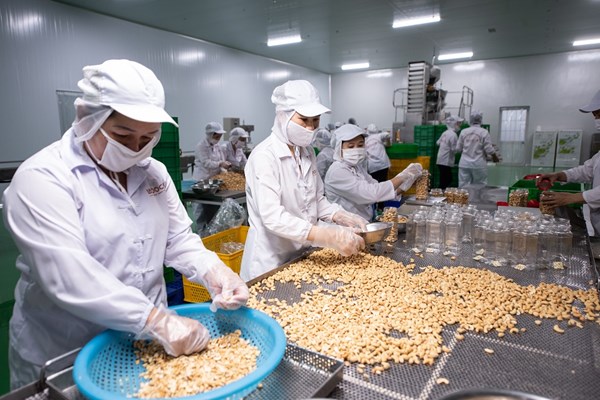 Quý I, doanh thu Tập đoàn PAN đạt 81%