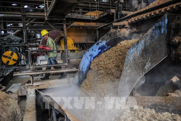 Chính phủ Cuba điều chỉnh Kế hoạch Kinh tế do dịch COVID-19