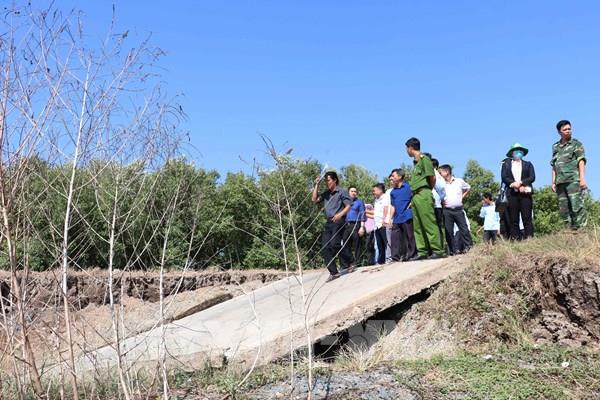 Báo động tình trạng sụt lún đê biển Tây Cà Mau
