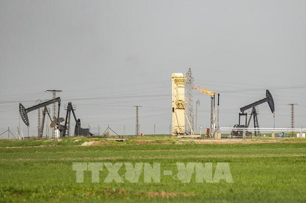 Một số nước châu Á sẽ tận dụng giá dầu thấp để tăng cường kho dự trữ chiến lược