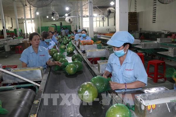 Thành lập Tổ công tác chỉ đạo sản xuất, kết nối tiêu thụ nông sản khu vực phía Bắc