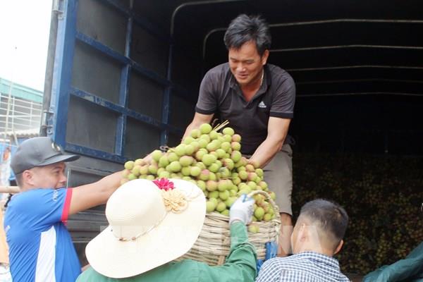 Quảng Ninh: Nhiều đơn vị thỏa thuận tiêu thụ vải Phương Nam