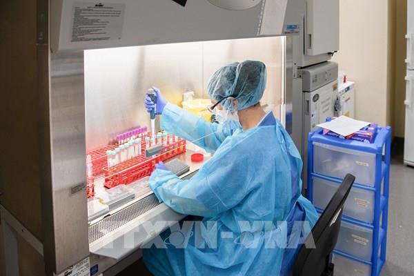 Cập nhật dịch COVID-19 thế giới tối 6/5: Số ca tử vong tại Tây Ban Nha tăng trở lại