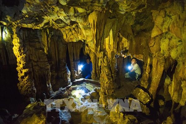 Khám phá vẻ đẹp di tích lịch sử động Trà Tu (Ninh Bình)