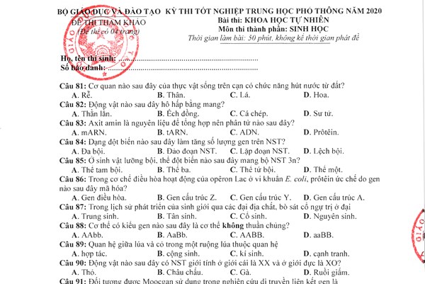 Đề thi minh họa tốt nghiệp THPT 2020 môn Sinh học
