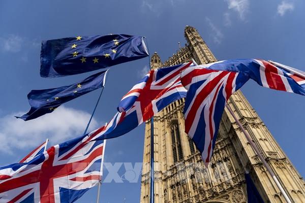 Khoảng 33% doanh nghiệp Đức dự kiến Brexit "không thỏa thuận" sẽ xảy ra