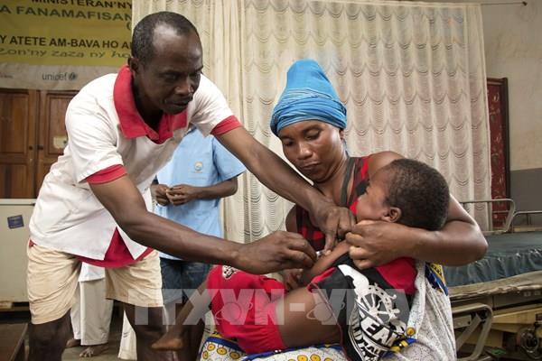 Madagascar khẳng định khả năng điều trị COVID-19 của dược liệu châu Phi