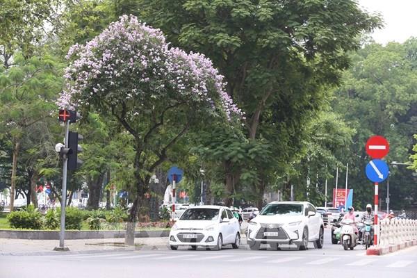 Dự báo thời tiết hôm nay 13/5: Hà Nội trời mát, chiều tối có mưa dông