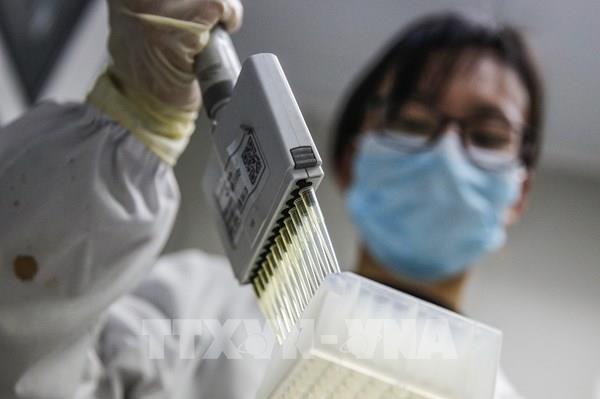 Cập nhật COVID-19 ngày 31/5: Diễn biến mạnh tại khu vực châu Mỹ Latinh, Việt Nam 0 ca mới