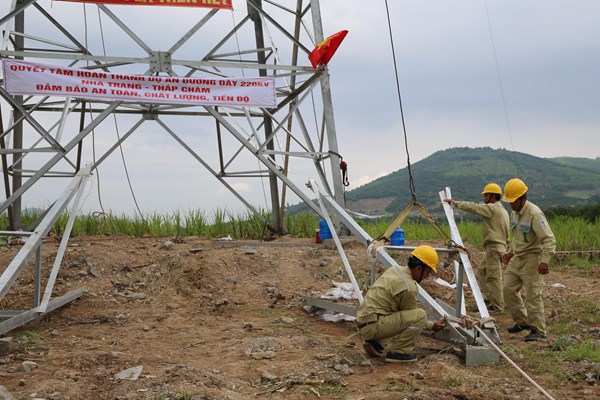 Đường dây 220kV Nha Trang - Tháp Chàm vướng các thủ tục liên quan đến chuyển đổi đất rừng