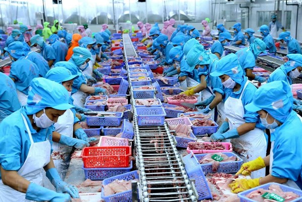 Khôi phục sản xuất tạo chuỗi cung ứng bền vững