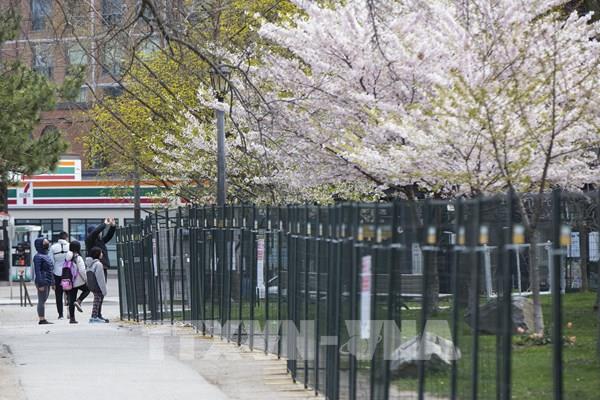 Doanh số bán nhà ở Canada xuống mức thấp nhất kể từ năm 1984