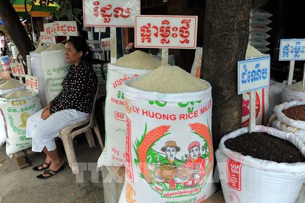 Campuchia và Trung Quốc chuẩn bị sử dụng đồng nội tệ trong giao dịch lúa gạo