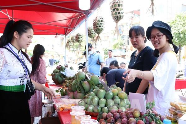 Quảng bá sản phẩm xoài và nông sản an toàn Yên Châu (Sơn La)