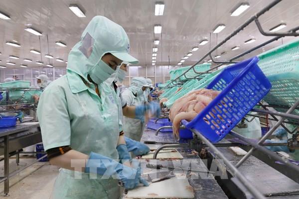 Tiêu chí chọn doanh nghiệp tham gia Chương trình hỗ trợ tuân thủ pháp luật hải quan