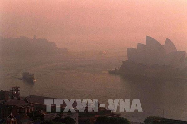 Khí thải nhà kính có thể giảm tới 7% nhờ phong tỏa do dịch COVID-19