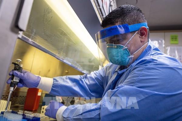 Xét nghiệm kháng thể virus SARS-CoV-2 không đủ tin cậy trong phỏng đoán miễn dịch cá nhân