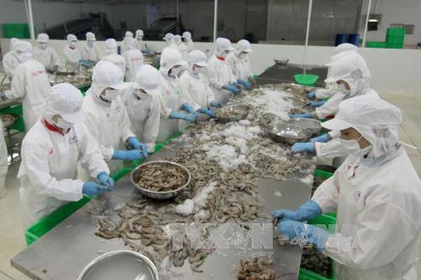 Bà Rịa-Vũng Tàu: Sớm đưa các cụm chế biến hải sản tập trung đi vào hoạt động