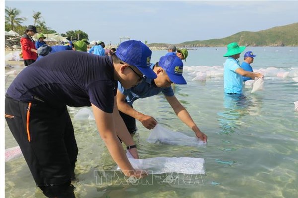 Ảnh hưởng hạn, mặn, người dân Bến Tre e ngại thả giống tôm