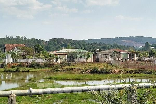 Phản hồi thông tin TTXVN: TP Pleiku chỉ đạo kiểm tra việc “hô biến” đất ruộng thành đất ở