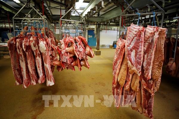 Tổng hợp sự kiện quốc tế nổi bật trong tuần qua ảnh (từ ngày 18-24/5/2020)