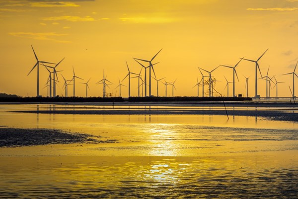 Chưa đạt đồng thuận về diện tích biển giao Công ty Ecotech Trà Vinh làm điện gió