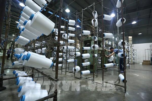 Hiệp định EVFTA: "Cứu cánh" giúp doanh nghiệp lấy lại đà tăng trưởng