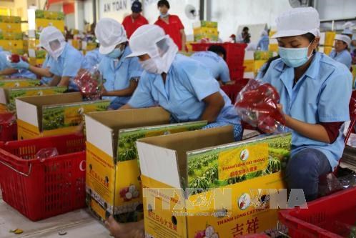 Hiệp định EVFTA: Chủ động ứng phó với biện pháp phòng vệ thương mại
