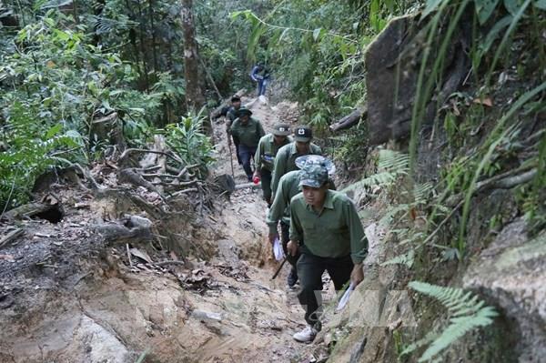 Áp lực trong quản lý, bảo vệ rừng