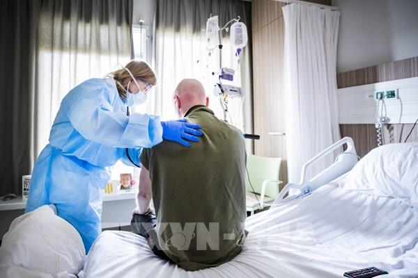 Hà Lan có thêm bệnh nhân nhiễm virus SARS-CoV-2 từ chồn