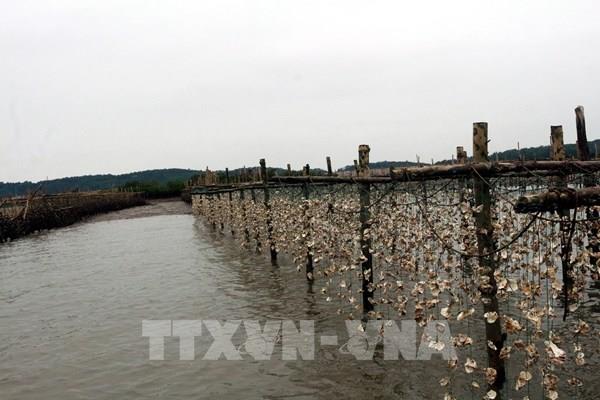 Bổ sung Khu Kinh tế Quảng Yên vào Quy hoạch phát triển các Khu Kinh tế ven biển