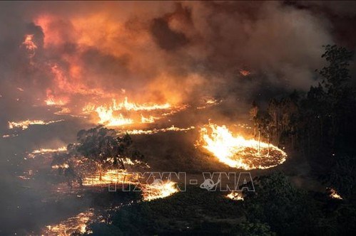 Australia: Khói từ thảm họa cháy rừng khiến nhiều người nhập viện vì bệnh tim phổi