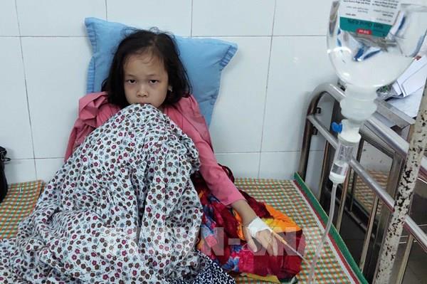 Học sinh bị ngộ độc thực phẩm ở Cao Bằng: Đình chỉ hoạt động nhà hàng cung cấp suất ăn