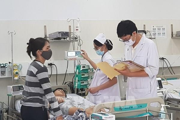 Tp Hồ Chí Minh ứng phó với nguy cơ cây xanh gãy đổ trong mùa mưa