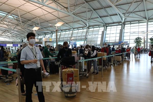 Đưa công dân Việt Nam từ Hàn Quốc về nước