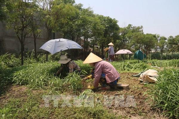 Giải cơn khát cho hơn 15.000 ha vườn cây ăn quả đặc sản