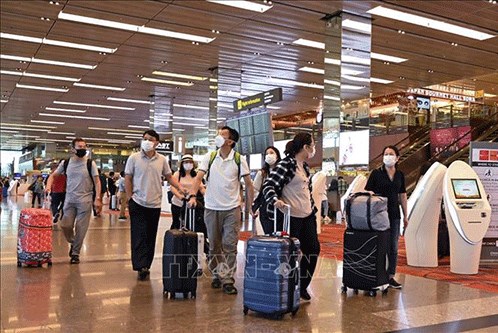 Xuất khẩu dược phẩm của Singapore tăng mạnh nhờ các nước dự trữ thuốc
