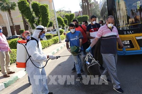 Ai Cập có số ca nhiễm mới COVID theo ngày cao nhất từ trước đến nay