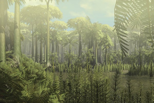 Khu rừng cổ nhất tại Trung Quốc có niên đại hơn 371 triệu năm