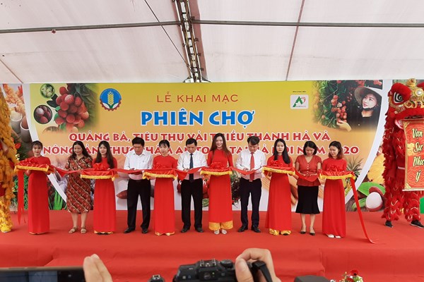 Trực tiếp đưa vải thiều Thanh Hà tới người tiêu dùng Thủ đô