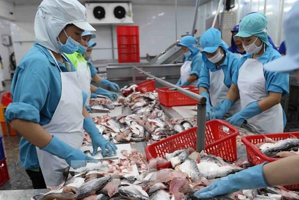 VASEP: Ít nhất hết quý II, xuất khẩu cá tra sang thị trường lớn chưa thể tăng trưởng dương