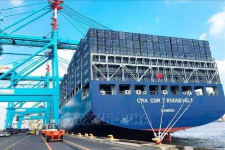 Châu Phi và bài toán về phát triển cảng biển thông minh