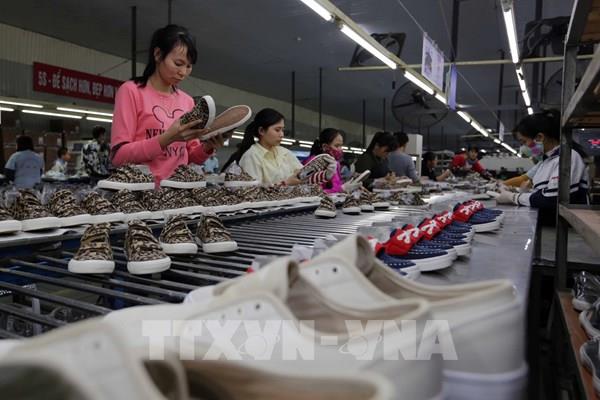 Lấp lỗ hổng trong thực thi các FTA